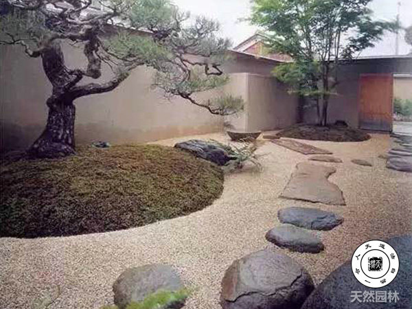 踏步石 (8)